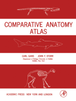 Comparative Anatomy Atlas