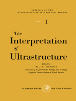 The Interpretation of Ultrastructure