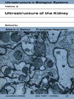 Ultrastructure of the Kidney