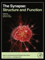 The Synapse: Structure and Function