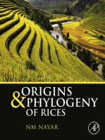 Origins and Phylogeny of Rices