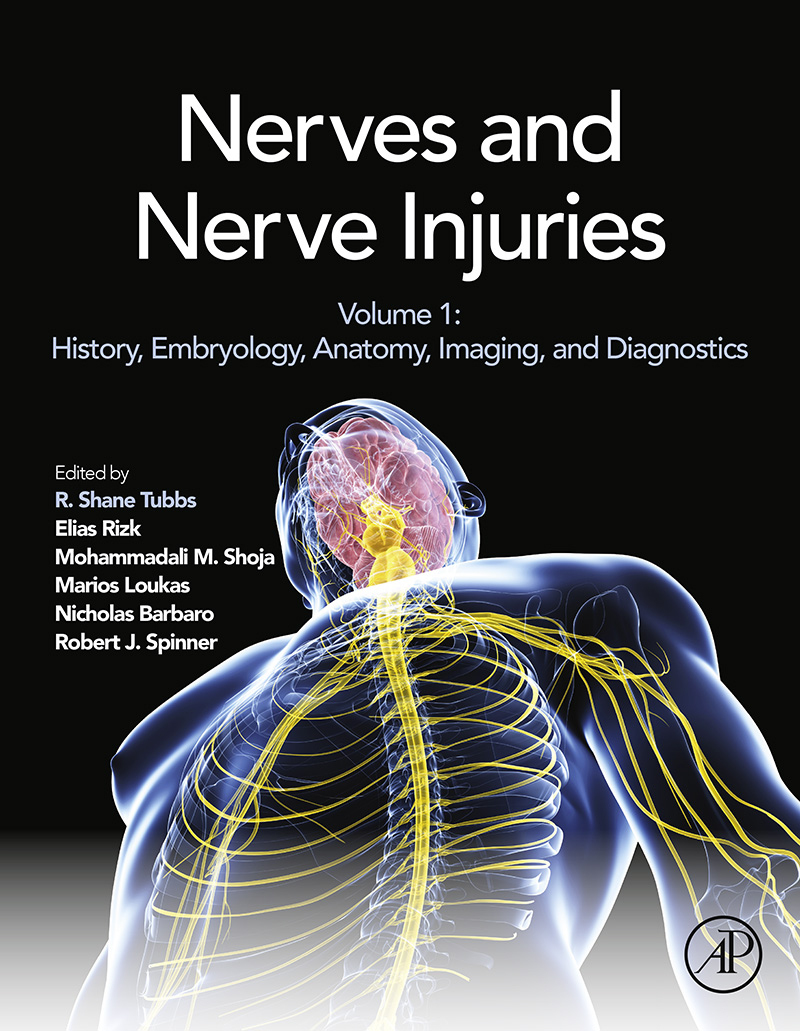 Nerves and Nerve Injuries | Scribd