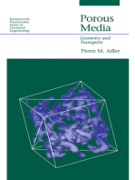 Porous Media: Geometry and Transports