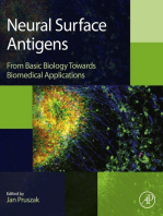 Neural Surface Antigens: From Basic Biology Towards Biomedical Applications