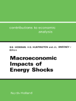 Macroeconomic Impacts of Energy Shocks