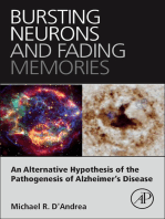 Bursting Neurons and Fading Memories: An Alternative Hypothesis of the Pathogenesis of Alzheimer’s Disease