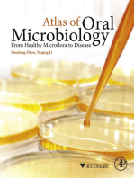 Atlas of Oral Microbiology: From Healthy Microflora to Disease