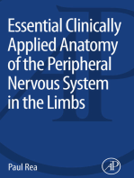 Essential Clinically Applied Anatomy of the Peripheral Nervous System in the Limbs