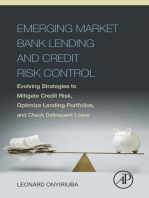 Emerging Market Bank Lending and Credit Risk Control: Evolving Strategies to Mitigate Credit Risk, Optimize Lending Portfolios, and Check Delinquent Loans