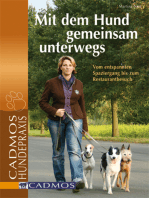 Mit dem Hund gemeinsam unterwegs