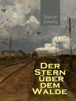 Der Stern über dem Walde: Mit psychologischem Feinsinn und großer sprachlicher Suggestivkraft beschreibt Stefan Zweig eine unwahrscheinliche Liebesbeziehung