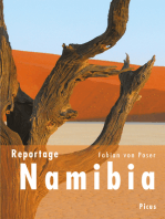 Reportage Namibia: Durch die Augen des Geparden