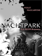Nachtpark: Gay-BDSM-Romance