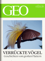 Verrückte Vögel