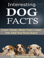 Interesting Dog Facts: Learn Things About Your Canine Pals That You Never Knew