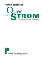 Quer zum Strom: Eine Streitschrift über das Wasser