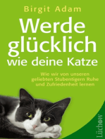 Werde glücklich wie deine Katze: Wie wir von unseren geliebten Stubentigern Ruhe und Zufriedenheit lernen