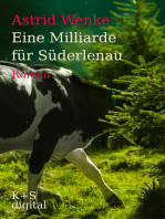 Eine Milliarde für Süderlenau