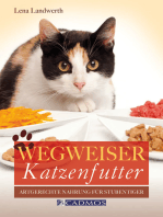 Wegweiser Katzenfutter: Artgerechte Nahrung für Stubentiger