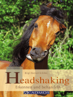 Headshaking: Erkennen und behandeln