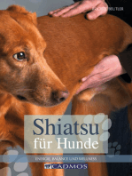 Shiatsu für Hunde: Energie, Balance und Wellness