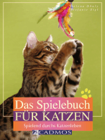 Das Spielebuch für Katzen