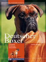 Deutscher Boxer: Charakter, Erziehung, Gesundheit