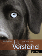 Hundeverstand