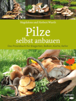 Pilze selbst anbauen: Das Praxisbuch für Biogarten, Balkon, Küche, Keller