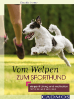 Vom Welpen zum Sporthund: Welpentraining und -motivation mit Sinn und Verstand