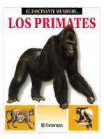 Los Primates