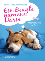 Ein Beagle namens Daria
