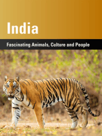 India: Fascinating Animals, Cultura and People