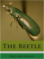 The Beetle