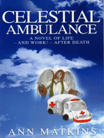 Celestial Ambulance: A Novel of Life - and Work - After Death