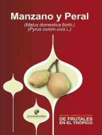 Manual para el cultivo de frutales en el trópico. Manzano y Peral