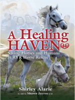 A Healing Haven: Saving Horses and Humans at RVR Horse Rescue