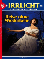 Irrlicht 62 – Mystikroman: Reise ohne Wiederkehr