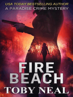 Fire Beach