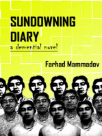 Sundowning Diary-part 1