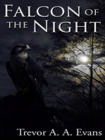Falcon of the Night