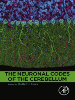 The Neuronal Codes of the Cerebellum