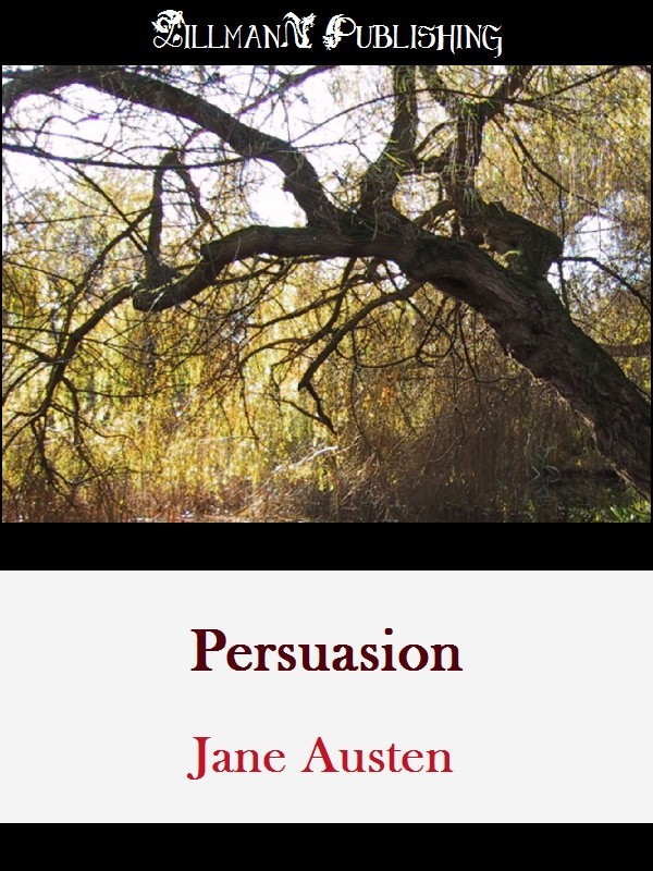 Novel persuasion image