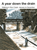 A Year Down the Drain: Walking in Styx Creek, January to December