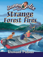 Danny Orlis and the Strange Forest Fires