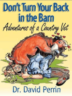 Don't Turn Your Back in the Barn: Adventures of a Country Vet
