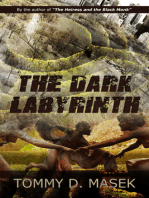 The Dark Labyrinth