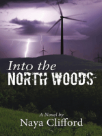 Into the North Woods