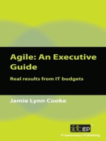 Agile: An Executive Guide: Real results from IT budgets