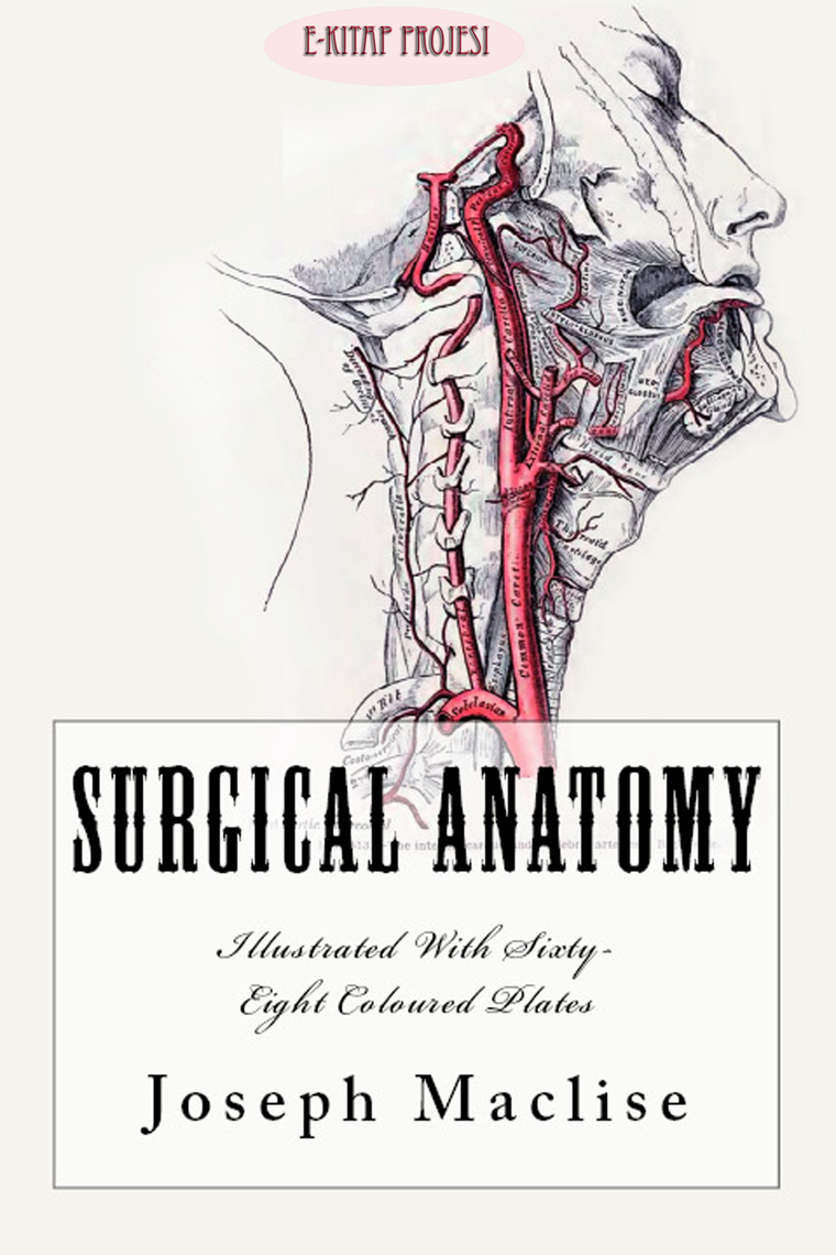 Read Surgical Anatomy Online By Joseph Maclise Books